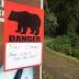 BREAKING: Teen dies after being mauled by bear