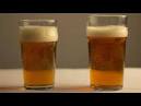 Nucleated Beer Glass - What is it and what s it do? - Empower Network