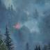 Flames visible up the slope from Beluga Point