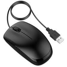 Image result for mouse