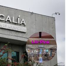 Lili Pink se pronuncia tras capturas y allanamientos de la Fiscalía en sus tiendas en todo el país