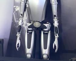 Image of Tesla Optimus humanoid robot
