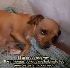 Pao fuentes (pao_de_rey26) - Profile | Pinterest