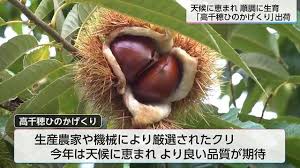 Yahoo!ニュース - News update