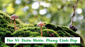 Thơ Về Thiên Nhiên, Phong Cảnh Đẹp Hay ❤️️ Nổi Tiếng Nhất