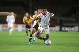 Caída de fuegos a la cancha suspenden partido en Coquimbo