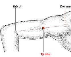 Hình ảnh về Huyệt kiên trì