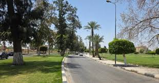 اليوم السابع