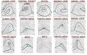 Résultat de recherche d'images pour "fingerprint types"