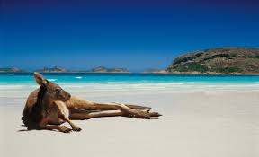 Image result for Australian beach