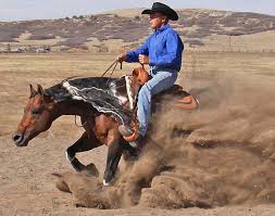 Resultado de imagen de The Big Gun