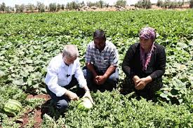 İhlas Haber Ajansı - News update