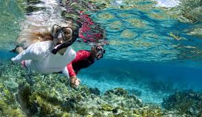 Image result for Tioman