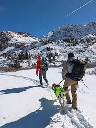 2 College Students Are Found Dead on a Colorado Mountain
