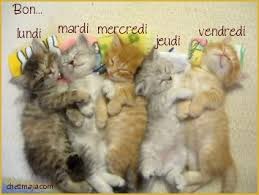 Résultats de recherche d'images pour « gif bonne semaine de repos »