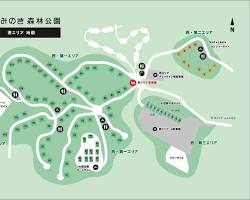 もみの木森林公園のキャンプ場の画像