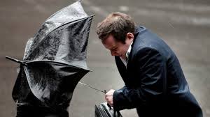 Expect a windy day across Niagara, Hamilton, Burlington and Brantford, Environment Canada says