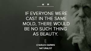 Our favorite beauty quotes - Charlotte&#39;s Book via Relatably.com