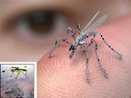 Image result for nanotechnology