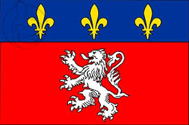 Resultado de imagen de LYON bandera