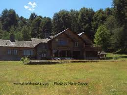 Image result for Hitler In Argentina  pdf