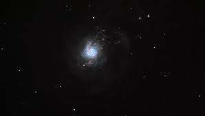 Image result for NGC3310