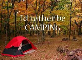 Funny Quotes About Camping. QuotesGram via Relatably.com