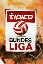 Image result for bundesliga logo 2015