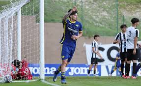 Trend Google: hellas verona football club