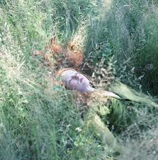 Résultat de recherche d'images pour "hellen van meene"