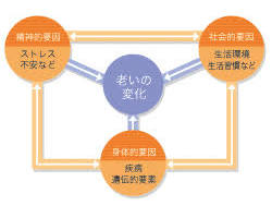 社会的役割の変化の画像