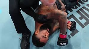 Dana White reacts to Gable Steveson's UFC 331 loss, early cage exit