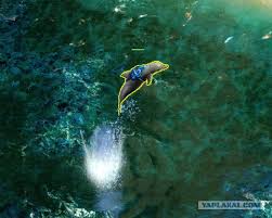 images?q=tbn:ANd9GcQGFZ9N4ZHGxOiAkBb0NviDVc5yU_MSMpIlHe0dYOvcOQwWek5W8A