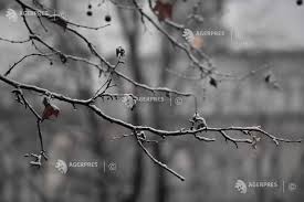 Temperaturi normale pentru data din calendar, în București; până vineri sunt anunțate precipitații mixte