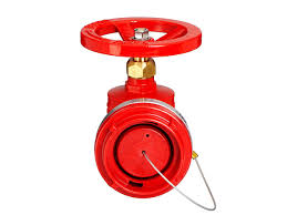 Valfort Fire Hydrant Landing Valve - NSW Storz Connector ...