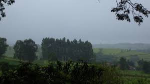 Globo Rural - News update