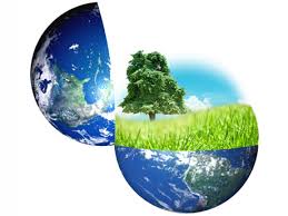 impuesto de circulación - medio ambiente
