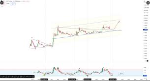 Analyst Spots XRP Signal That Preceded Every Major Rally Since 2017