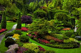 Resultado de imagem para Jardins do paraiso