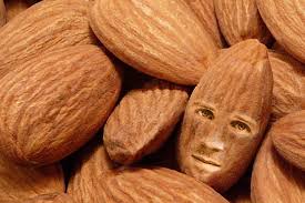 Image result for almonds