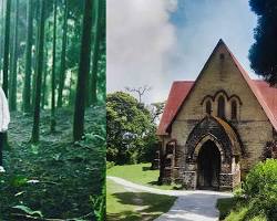 Image of Dow Hill Station, Kurseong, India