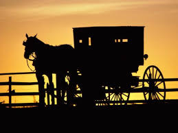 Image result for amish of lancaster pa