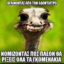 Αποτέλεσμα εικόνας για αστειες εικονες