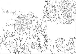 fish coloring pages ile ilgili görsel sonucu