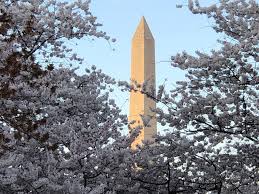 Women’s History Month events in DC: how to celebrate