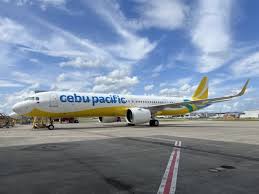 Cebu Pacific's 2024 Income Dips 32% Due to Expansion Costs Despite Revenue Growth