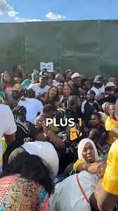 ghana party in the park crush