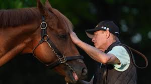 2026 Kentucky Derby predictions and horse racing insights