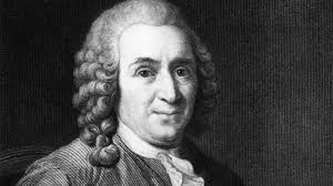 Image result for linnaeus