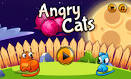 My Grumpy Cat Kizi - Online Games - Life Is Fun